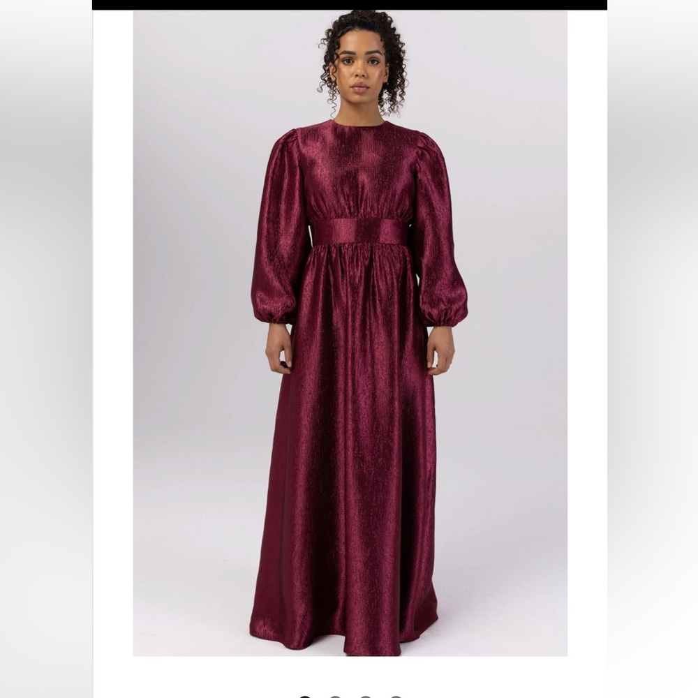 Veiled Balloon Sleeve Maxi Dress